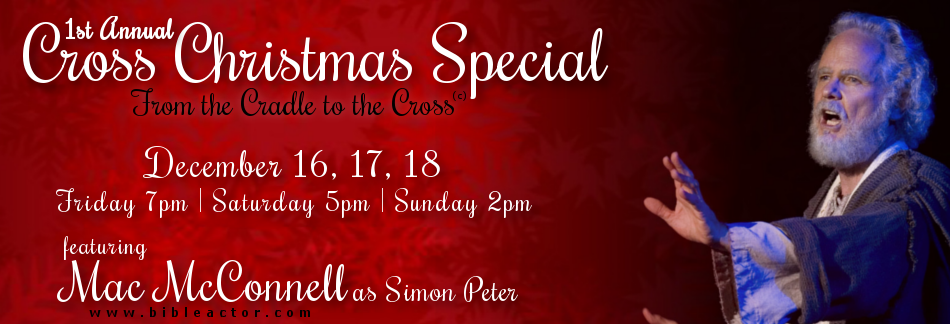 christmas-special-web-banner